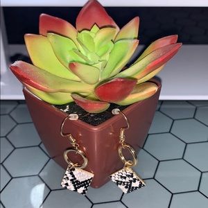 Beautiful Earrings 💕
